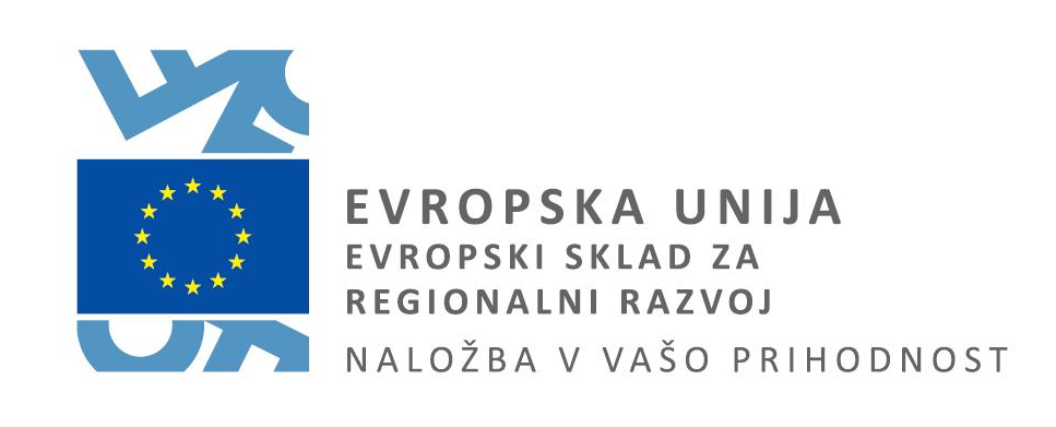 Evropska unija